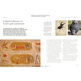 The Lives of Beetles: A Natural History of Coleoptera