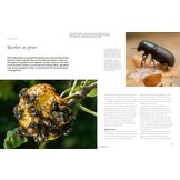 The Lives of Beetles: A Natural History of Coleoptera