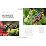 The Lives of Beetles: A Natural History of Coleoptera