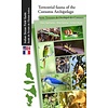 Terrestrial Fauna of the Comoros Archipelago / Faune Terrestre de l’Archipel des Comores