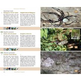 Terrestrial Fauna of the Comoros Archipelago / Faune Terrestre de l’Archipel des Comores