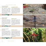 Terrestrial Fauna of the Comoros Archipelago / Faune Terrestre de l’Archipel des Comores