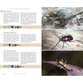 Terrestrial Fauna of the Comoros Archipelago / Faune Terrestre de l’Archipel des Comores