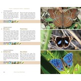 Terrestrial Fauna of the Comoros Archipelago / Faune Terrestre de l’Archipel des Comores