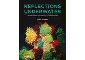 Reflections Underwater