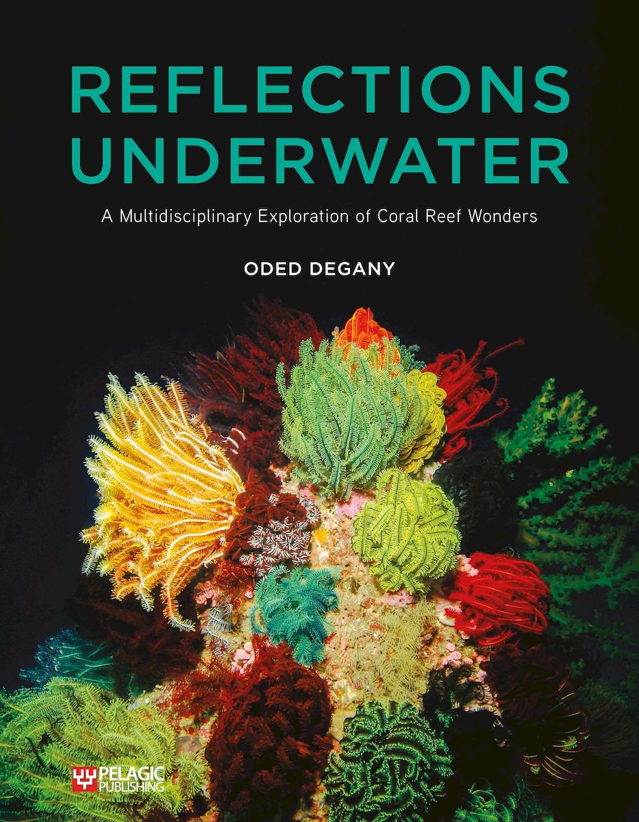 Reflections Underwater - A Multidisciplinary Exploration of Coral Reef Wonders