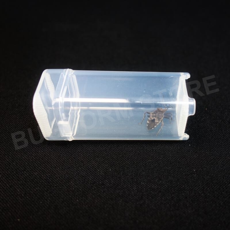 BD5061 Atmungsaktiver Insektenzuchttopf