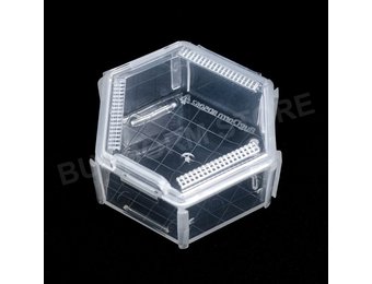 Bugdorm BD5062 Hive-shape Insect Rearing Box