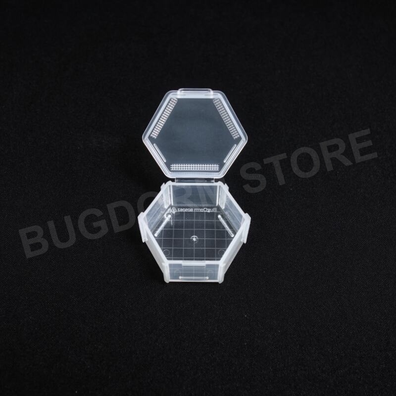 BD5062 Insektenzuchtbox