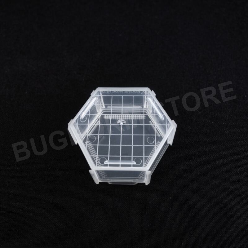 BD5062 Insektenzuchtbox