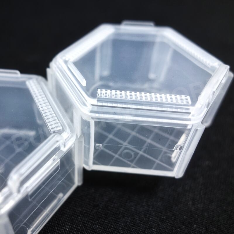 BD5062 Insektenzuchtbox