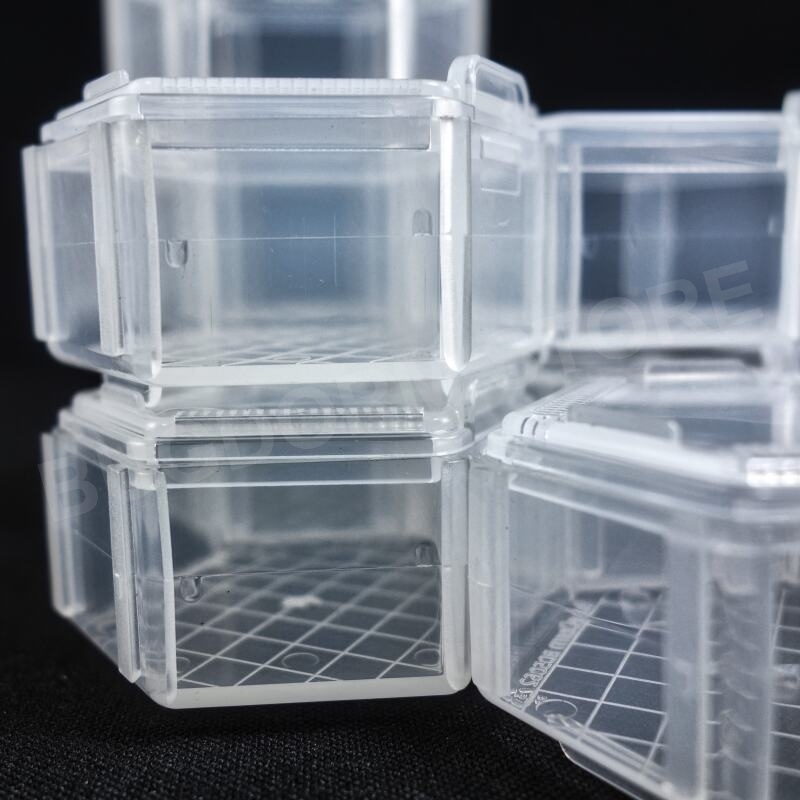 BD5062 Insektenzuchtbox