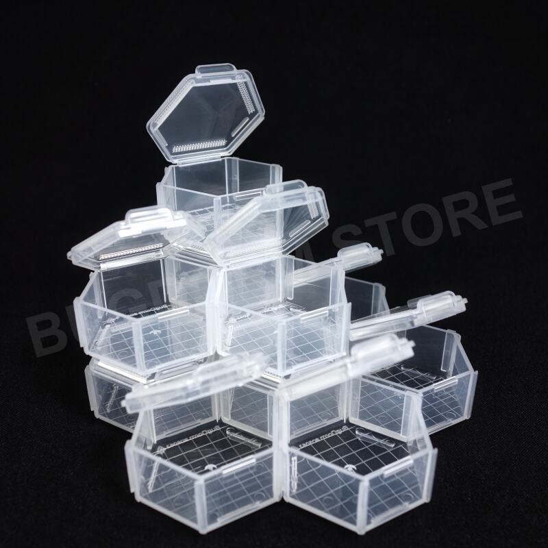 BD5062 Insektenzuchtbox