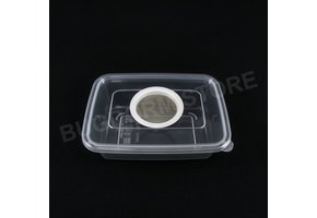 Bugdorm BD5004 Insektenaufzuchtbox mit Drahtgitteröffnung (380ml) (6er Pack)