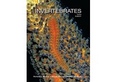 Invertebrates