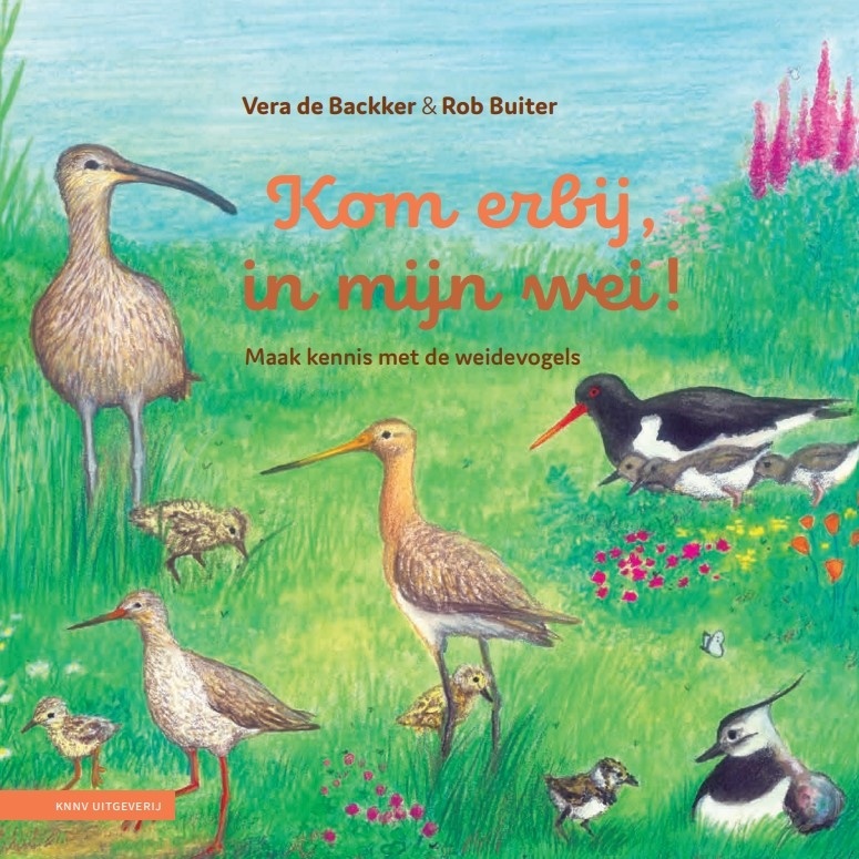 Kom erbij, in mijn wei! - Maak kennis met de weidevogels