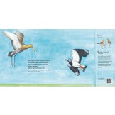 Kom erbij, in mijn wei! - Maak kennis met de weidevogels