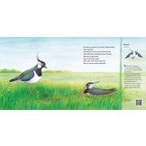 Kom erbij, in mijn wei! - Maak kennis met de weidevogels
