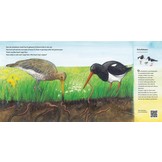 Kom erbij, in mijn wei! - Maak kennis met de weidevogels