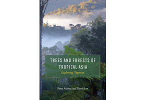 Trees and Forests of Tropical Asia