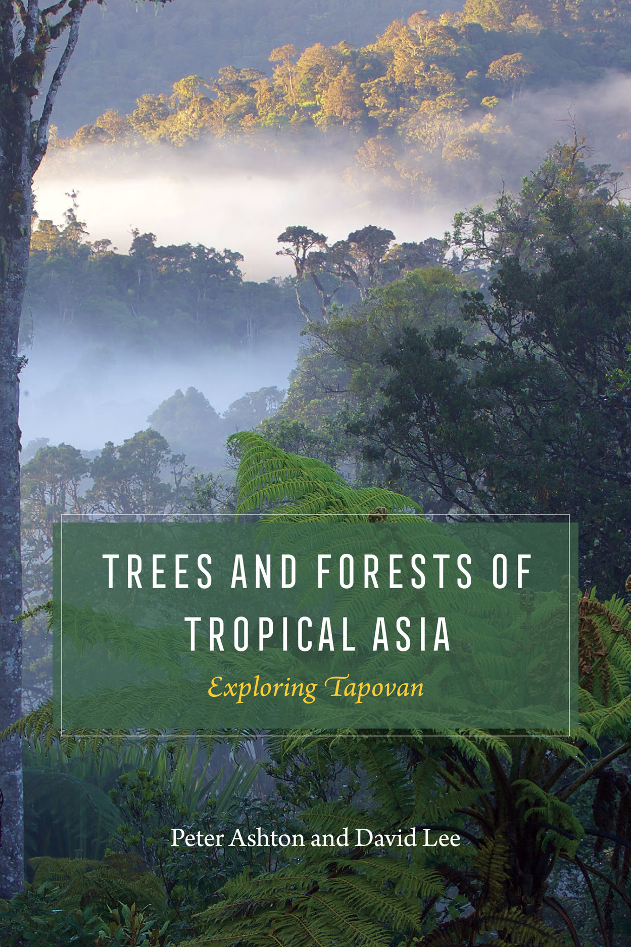 Trees and Forests of Tropical Asia - Exploring Tapovan