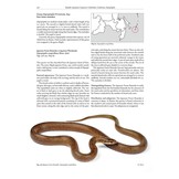 The Amphibians and Reptiles of Russia