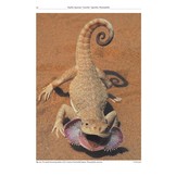 The Amphibians and Reptiles of Russia