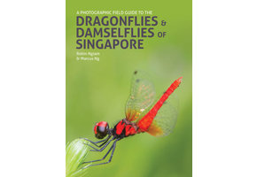 A Photographic Field Guide to Dragonflies & Damselflies of Singapore