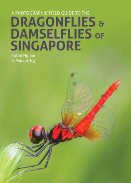 A Photographic Field Guide to Dragonflies & Damselflies of Singapore