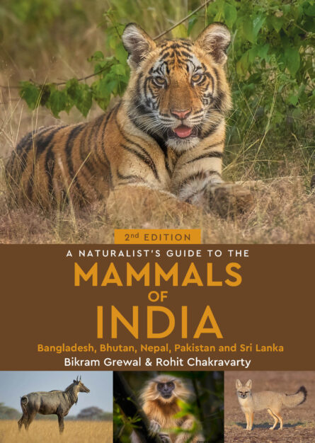 A Naturalist's Guide to the Mammals of India
