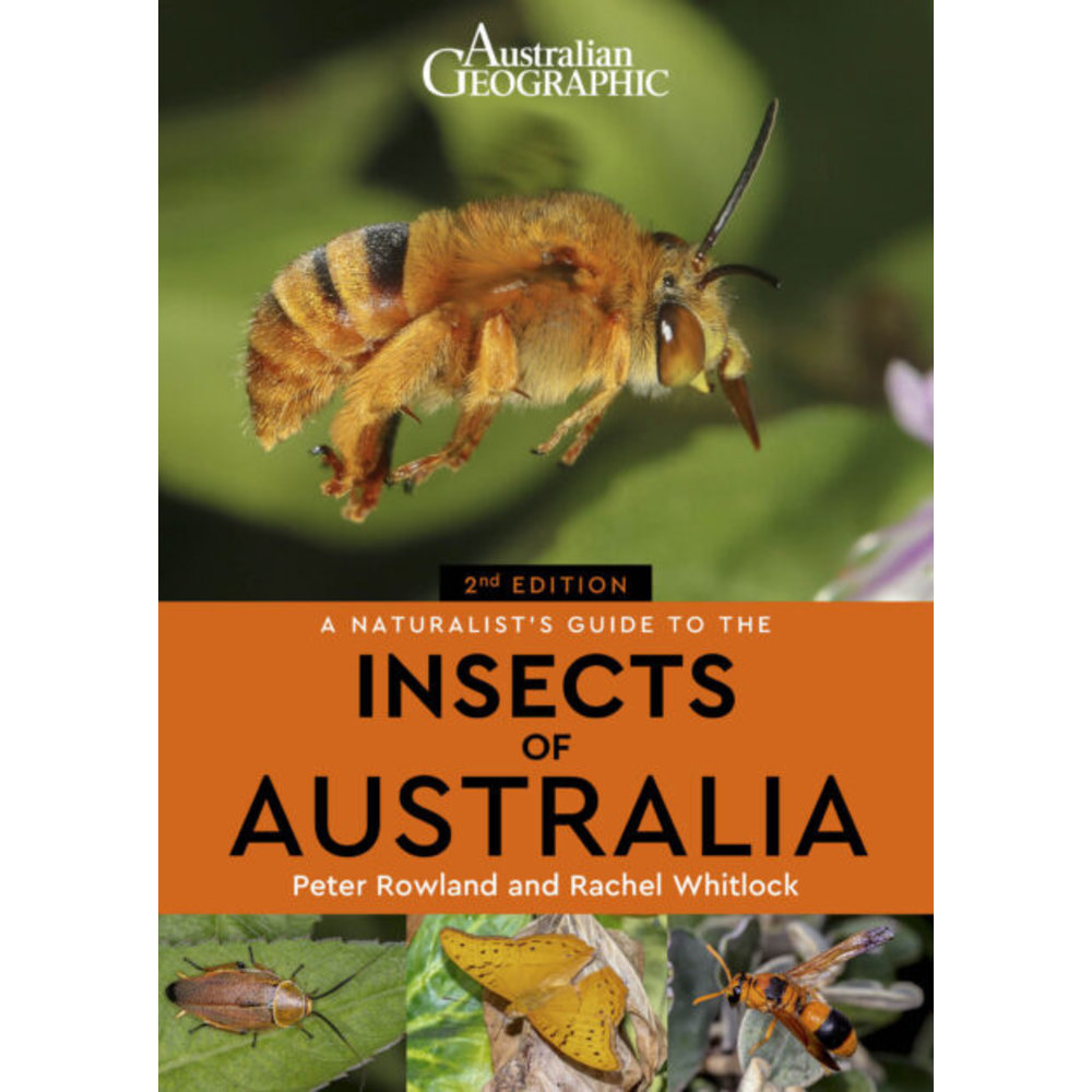 A Naturalist's Guide to the Insects of Australia - Veldshop.nl