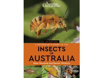 A Naturalist's Guide to the Insects of Australia
