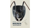 Mieren van de Benelux