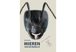 Mieren van de Benelux