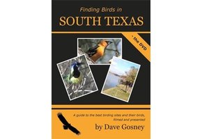 Finding Birds in South Texas DVD