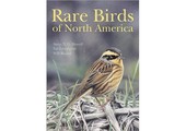 Rare Birds of North America