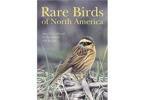 Rare Birds of North America