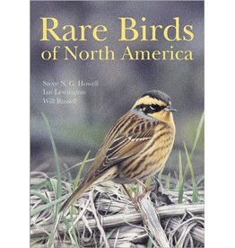 Rare Birds of North America
