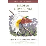 Birds of New Guinea