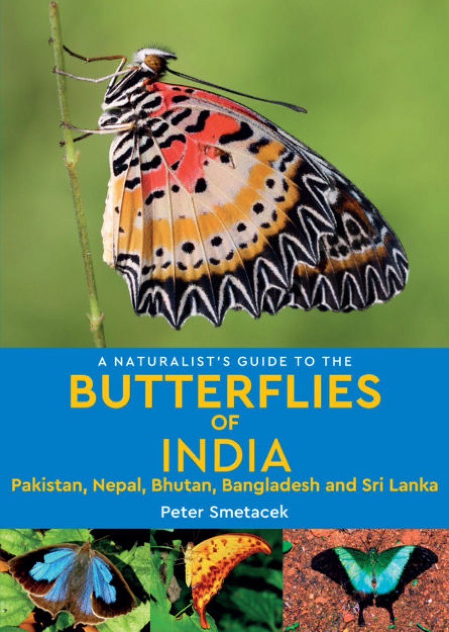 A Naturalist’s Guide to the Butterflies of India - Pakistan, Nepal, Bhutan, Bangladesh and Sri Lanka