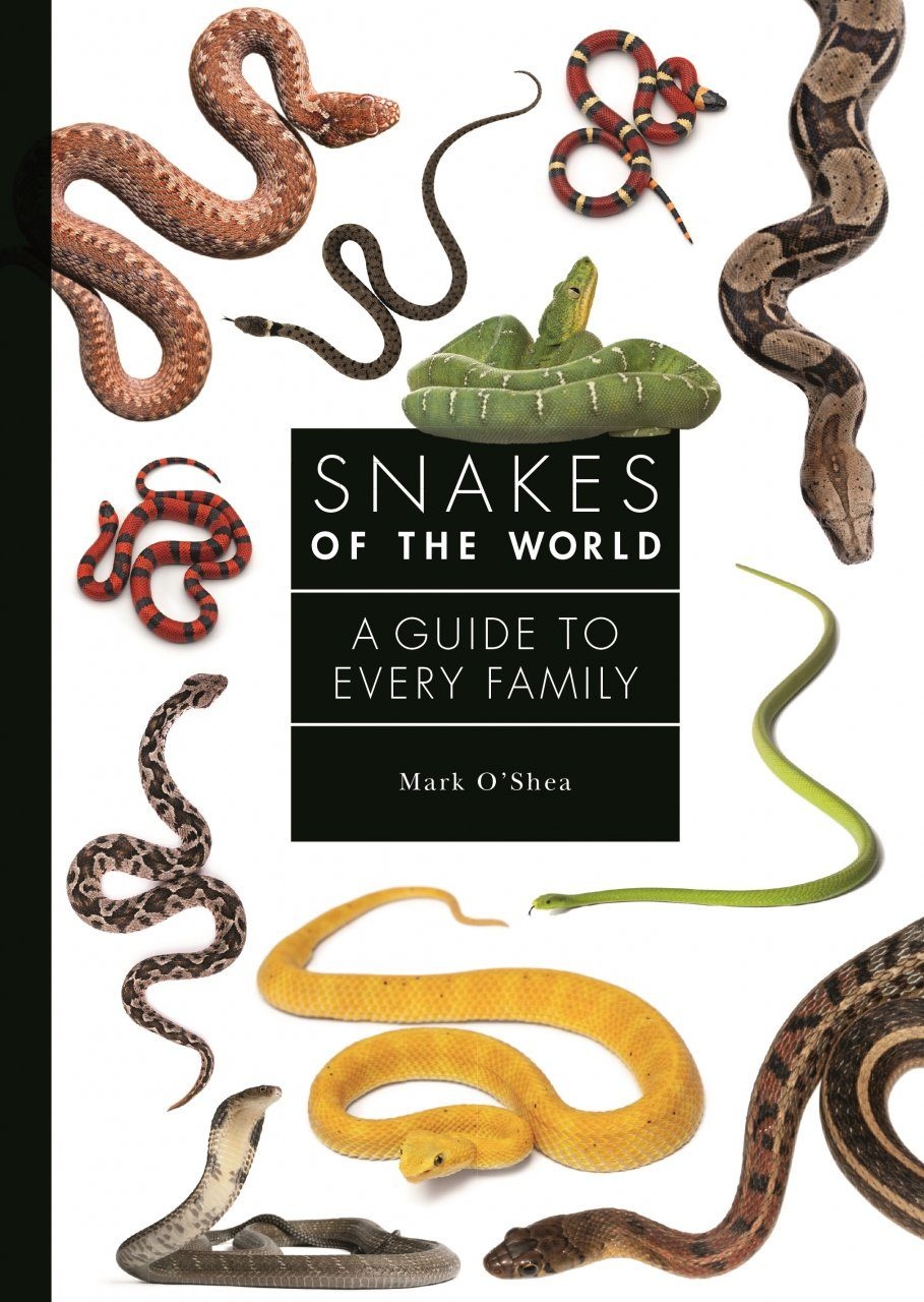 Snakes of the World - A Guide to Every Family