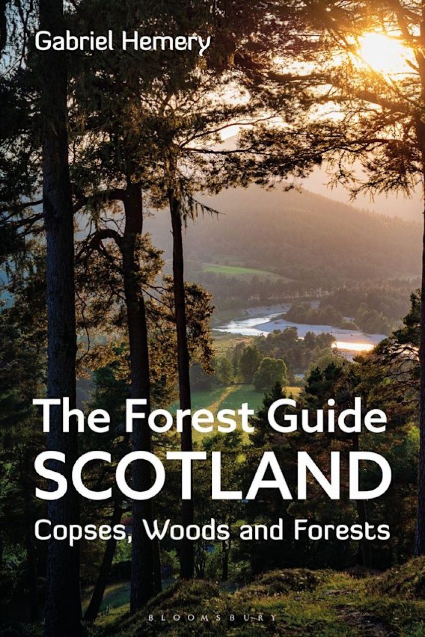 The Forest Guide Scotland - Copses, Woods and Forests