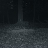 Carson Digital Pocket Night Vision Monocular miniAura