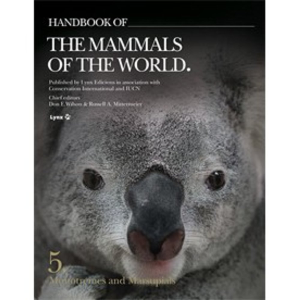 Книга коала. Морские животные книжка коала.