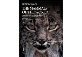 Handbook of the Mammals of the World, Vol. 1: Carnivores