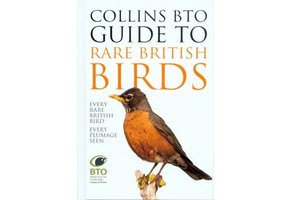 Collins BTO Guide to Rare British Birds
