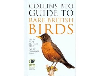 Collins BTO Guide to Rare British Birds