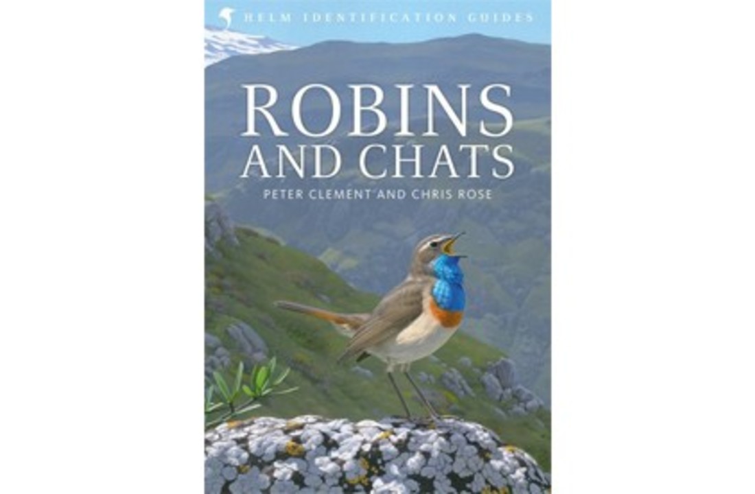 Robins and Chats