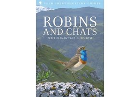 Robins and Chats