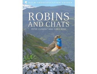 Robins and Chats